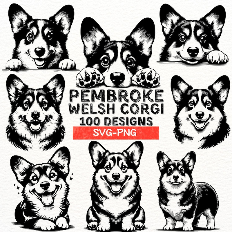 Line Drawing Wales - Etsy