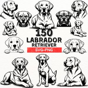 Pacchetto PNG Labrador Retriever SVG, Clipart digitale Labrador Retriever disegnato a mano, Pacchetto illustrazioni di cani domestici, File di taglio Labrador SVG per Cricut