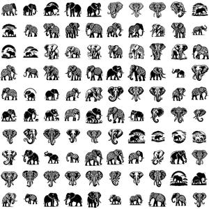 Pu&ograve; includere: Una collezione di 100 illustrazioni di elefanti in bianco e nero. Gli elefanti sono in varie pose, tra cui in piedi, in cammino e in tromba. Alcuni elefanti hanno intricati motivi sui loro corpi.
