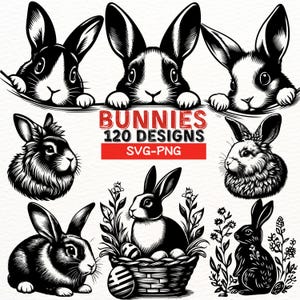 Hase SVG Bundle, Kaninchen PNG Clipart, Osterhase Digitale Dateien, Waldtier Vektor, Cricut Silhouette Sublimationsdesigns