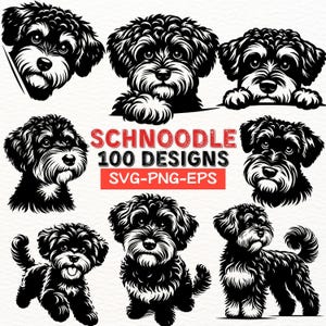 May include: A collection of black and white Schnoodle dog designs. The image features various illustrations of the dog breed in different poses and styles. Text in the image reads "SCHNOODLE 100 DESIGNS SVG-PNG-EPS."