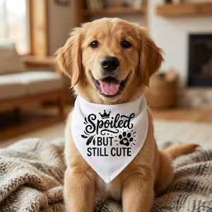 May include: A white ceramic mug with a black handle and the text "But First, Coffee" in a bold, black font. The mug is filled with a dark liquid, likely coffee, and sits on a light-colored surface.