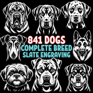 841 Dog Breeds Complete Slate Engraving Collection | Detailed Dog Breed Vector Designs for CNC, Glowforge, Cricut, and Laser Engraving