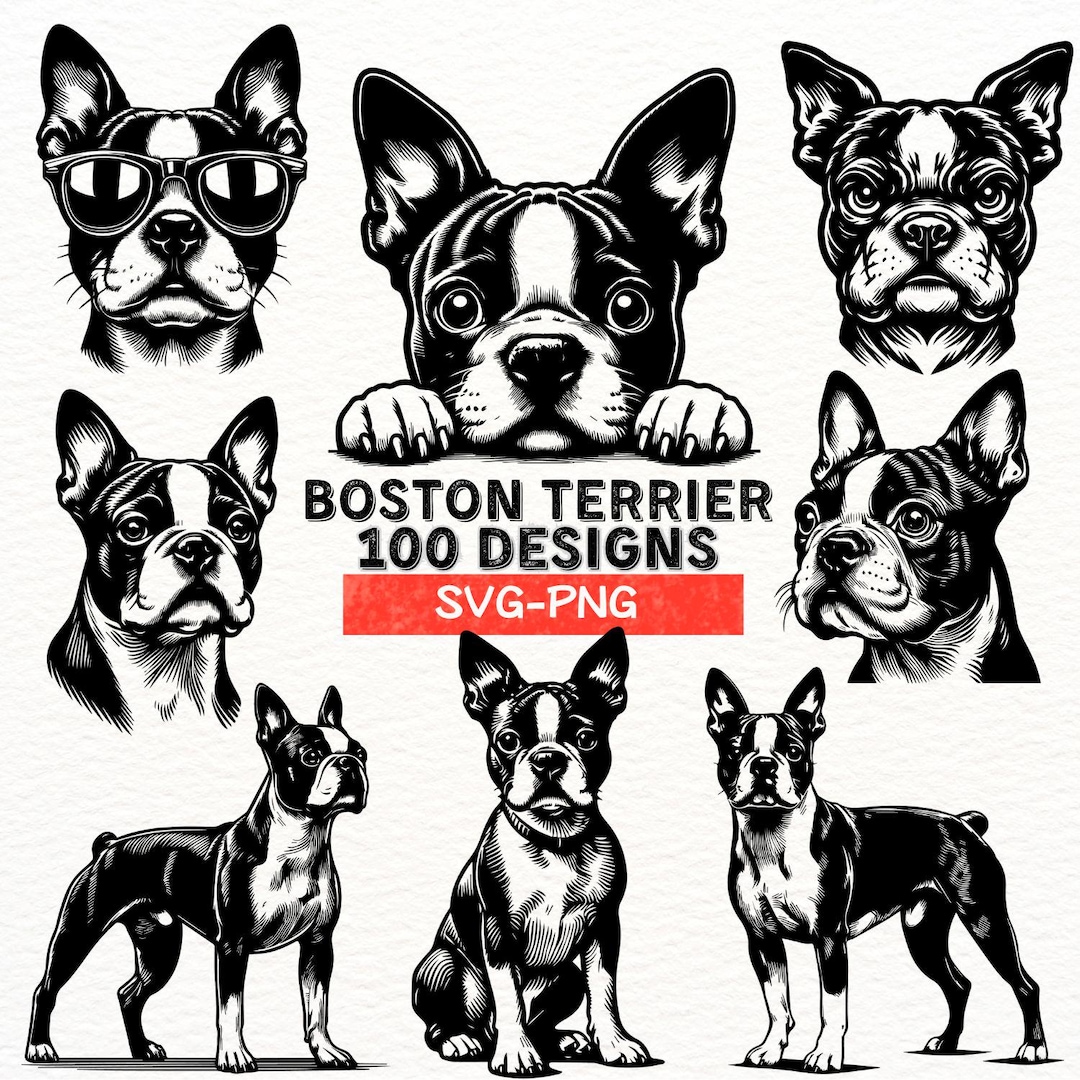 Boston Terrier SVG Bundle, 100 Dog Vector Designs, Cute Boston Terrier ...