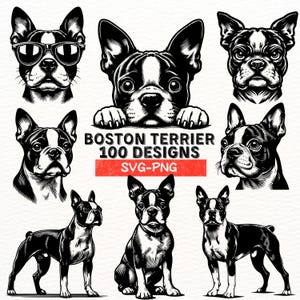 Boston Terrier SVG Bundle, 100 Hunde-Designs, süße Boston Terrier Clipart, PNG und SVG für Cricut, Silhouette, Hundeliebhaber Art