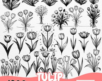 Tulpe SVG Bundle | Floral Clipart für Cricut | Frühlingsblumen PNGs | Tulip Line Art für Sublimations- und Bastelprojekte