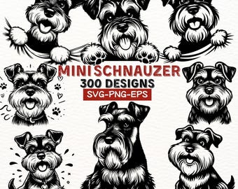 Mini Schnauzer Dog SVG PNG EPS Bundle | Cute Schnauzer Clipart | Vector Dog Designs for Cricut Silhouette Sublimation Crafts
