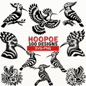 Huppe fasciée oiseau SVG PNG dessins, vintage huppe fasciée Clipart Bundle, Silhouettes d'oiseaux noir et blanc, la faune vecteur couper des fichiers pour Cricut