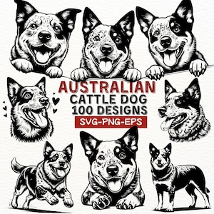 Australian Cattle Dog SVG PNG EPS Designs Bundle for Cricut and Sublimation, Blue Heeler Clipart, Heeler Dog Silhouette Files