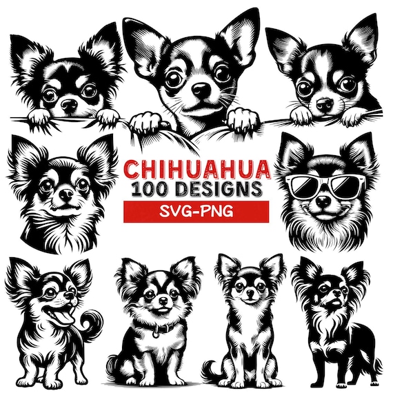 V*y様 Short n' Sweet Black White picture Sabrina Carpenter Short n' Sweet Vinyl and Insert Signed Art