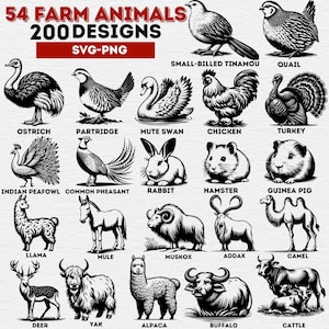 Boerderijdieren SVG PNG-bundel, 200 ontwerpen boerderijdieren clipart, landbouwhuisdieren silhouetten, landbouwhuisdieren gesneden bestanden voor Cricut sublimatie