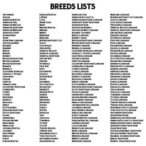 May include: A list of cat breeds, including Abyssinian, American Bobtail, American Curl, American Shorthair, and many more.