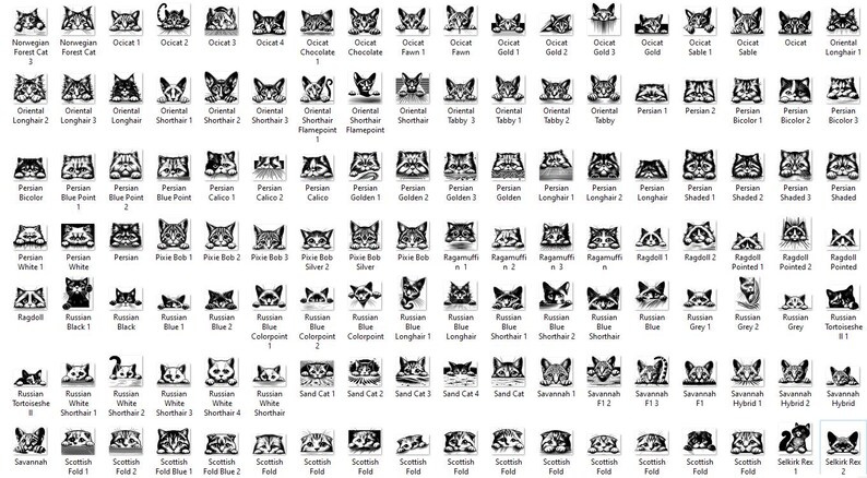 May include: A chart of different cat breeds with black and white illustrations of each breed. The chart includes the names of each breed, such as Norwegian Forest Cat, Ocicat, Persian, Ragdoll, and Scottish Fold.