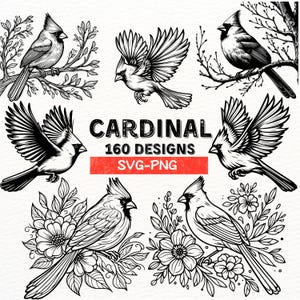 Ensemble SVG Cardinal oiseau | 160 motifs cardinaux | PNG pour Cricut et Silhouette | Clipart oiseau | Cardinal floral | Téléchargement instantané
