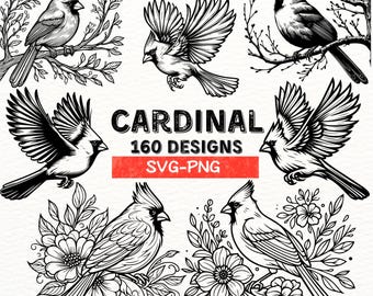 Cardinal Bird SVG Bundle | 160 Cardinal Designs | PNG Files for Cricut & Silhouette | Bird Clipart | Floral Cardinal | Instant Download
