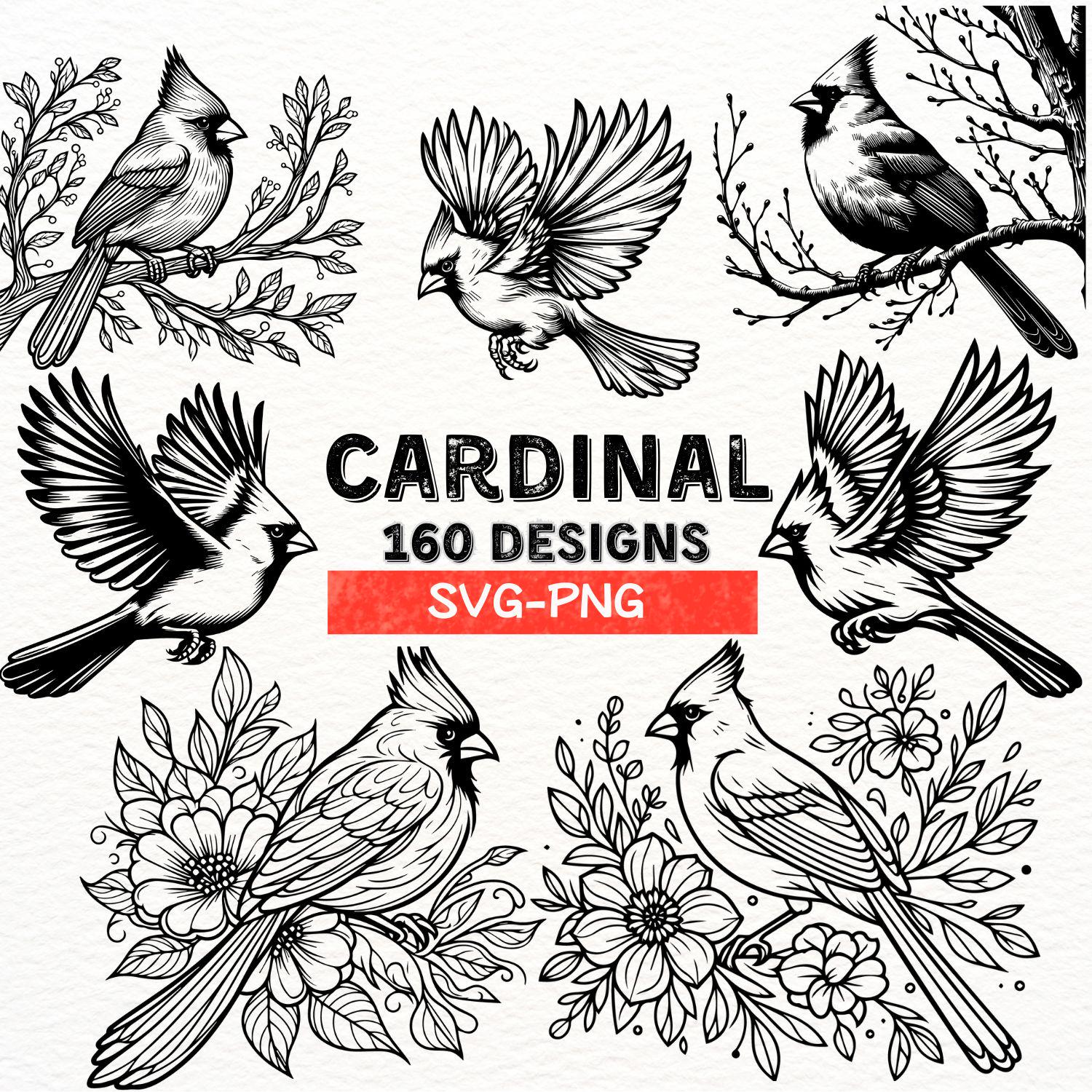Paquete SVG de pájaro cardenal – 160 diseños de cardenales | SVG y PNG 300 DPI para Cricut y Silhouette | Clipart de aves, cardenales florales, descarga instantánea