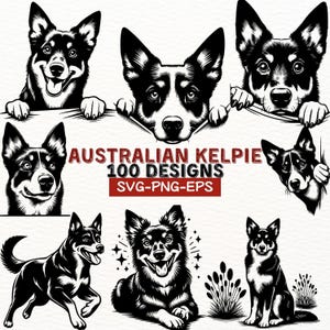 Australischer Kelpie Hund SVG Bundle 100 Designs | PNG EPS Clipart Digitaler Download | Kelpie Silhouette Kunst für Cricut Laser Gravur