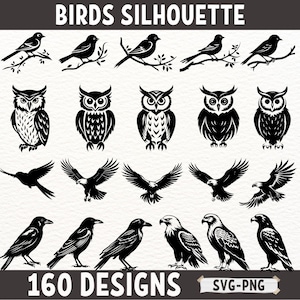 Pacchetto SVG Silhouette di uccelli / 160 design per Cricut e Silhouette / Gufo, aquila, corvo e uccello canterino PNG per progetti di artigianato e fai da te