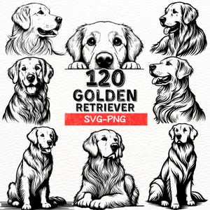 Golden Retriever SVG-PNG Bundle | Hand-Drawn Dog Graphics, Golden Retriever Illustrations, Dog Lover&#39;s Clipart, Golden Retriever Art Pack
