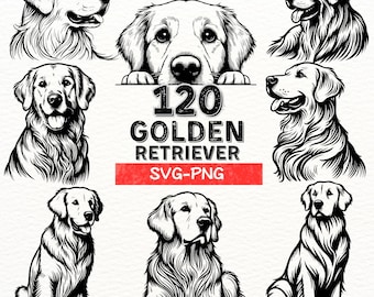 Golden Retriever SVG-PNG Bundle | Hand-Drawn Dog Graphics, Golden Retriever Illustrations, Dog Lover's Clipart, Golden Retriever Art Pack