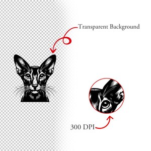 May include: Black and white illustration of an Oriental Shorthair cat's head. The cat has large, almond-shaped eyes and a pointed face.