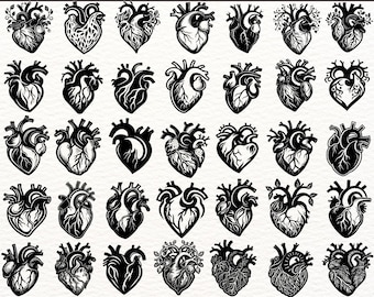 Disegni SVG di cuori anatomici / Pacchetto di clipart di cuori intricati per Cricut / File PNG in bianco e nero per artigianato fai da te e tatuaggi