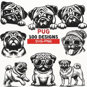 Pacote SVG de Pug Dog, 100 designs de Pug, clipart fofo de Pug, arquivos PNG de Pug, vetor de rosto de Pug, arte digital de Pug, download instantâneo para projetos Cricut