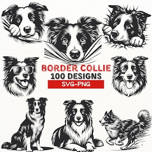 Border Collie SVG Bundle | 100 Border Collie-Hund Designs | Collie Clipart für Cricut | Hund PNG, SVG-Schnittdateien | Digitale Hundekunst