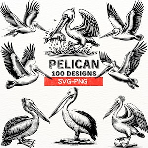 Pelikan SVG Bundle | Küsten Vogel Clipart | Digitale PNG-Dateien | Wildtier Vektoren | Cricut & Silhouette Cut Dateien