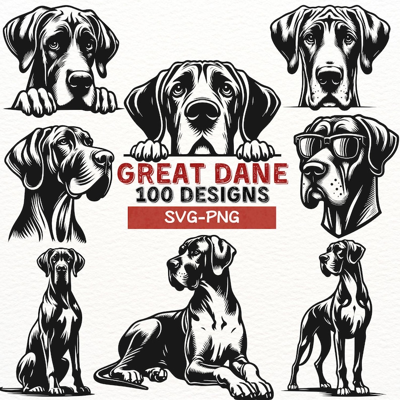May include: A collection of black and white illustrations of Great Danes in various poses. The illustrations are in a vintage style and feature the text "Great Dane 100 Designs SVG-PNG".