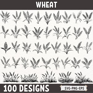 Paquete SVG de trigo, imágenes prediseñadas de trigo de granja, silueta de trigo PNG, archivos de corte de trigo de cosecha, vector de trigo rústico, diseño de trigo de Cricut, EPS DXF