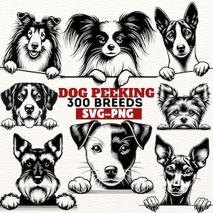 Dog Peeking SVG Bundle, 300 Dog Breeds PNG, Peeking Puppy Clipart, Pet Lover Cut Files, Digital Dog Face Vector,Design, 1006 Designs