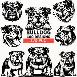 Pacchetto di disegni SVG Bulldog / Clipart adorabile Bulldog / File digitali per amanti dei cani / File di taglio Bulldog per Cricut / Pacchetto di arte per sublimazione PNG