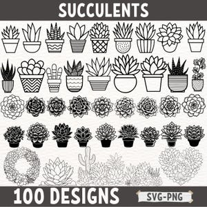 Pacchetto SVG succulente / Clipart succulente per Cricut / Disegni vettoriali di piante in vaso / File PNG di contorno di cactus / File di taglio digitale