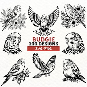 Perruches SVG PNG Designs, perruche Digital Clipart, fichiers Silhouette perruche, oiseau Art couper des fichiers pour Cricut et projets Silhouette