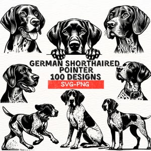 Pacchetto SVG PNG di Bracco Tedesco a Pelo Corto, 100 disegni vettoriali di cani, Clipart di cani da caccia, Silhouette di animali domestici, File digitali per Cricut
