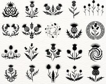 Scottish Thistle SVG Bundle, 100 Celtic Thistle Clipart Designs, Floral Scotland Vector Files, PNG EPS Silhouette Cut Files for Cricut