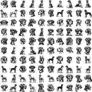 May include: A collection of 100 black and white illustrations of Great Dane dogs in various poses. The illustrations are in a vintage style and feature the dogs in different positions, including sitting, standing, running, and jumping.