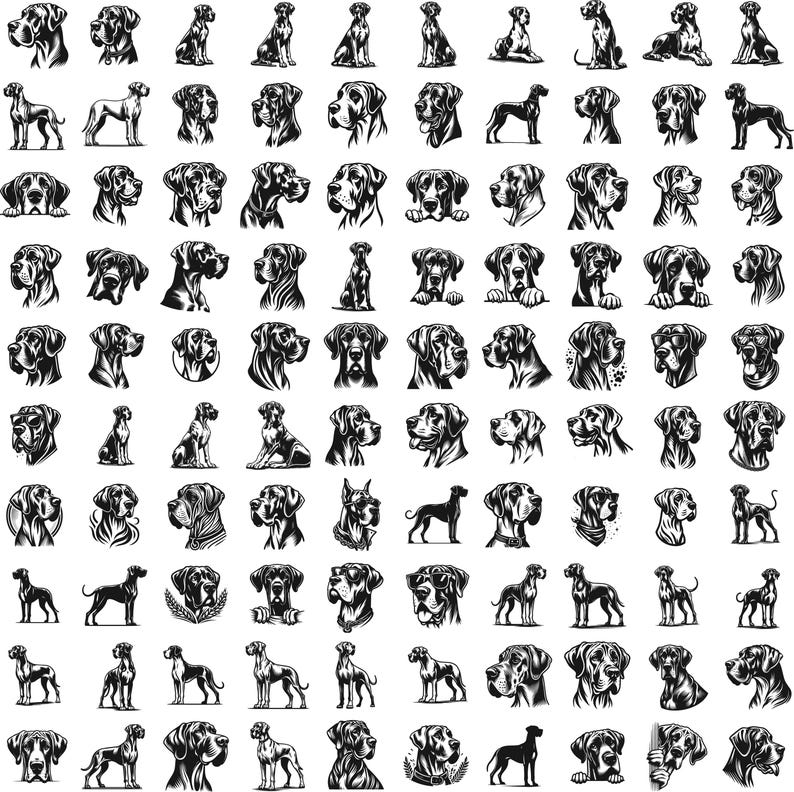 May include: A collection of 100 black and white illustrations of Great Dane dogs in various poses. The illustrations are in a vintage style and feature the dogs in different positions, including sitting, standing, running, and jumping.