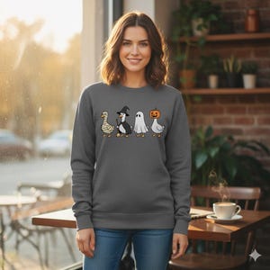 May include: Dark grey sweatshirt with a Halloween design. The graphic shows four ducks dressed up as a mummy, a witch, a ghost, and a pumpkin. The mummy duck is holding a wrapped stick.