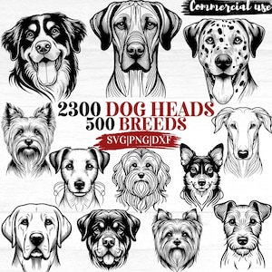 Pacote de clipart de cabeça de cachorro – 500 ilustrações de cães de raças em SVG, PNG, DXF – Arte digital para animais de estimação para uso comercial
