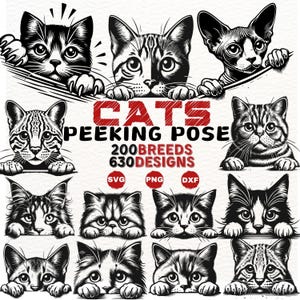 猫の覗き見ポーズ SVG バンドル – 630 種類のユニークな猫のデザイン、200 種類の品種のクリップアート、Cricut、昇華などのための PNG DXF の即時ダウンロード