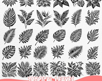 Tropical Leaves Bundle SVG PNG, Palm Leaf Vector Clipart, Jungle Floral Silhouettes, Botanical Nature Cut Files for Cricut and Silhouette