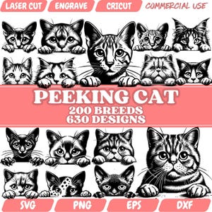 Bundle SVG chat furtif, 200 races de chats, 630 modèles, fichiers découpés au Laser, vecteur de gravure, Clipart Cricut, PNG DXF Eps, téléchargement numérique