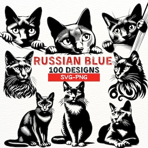 Ensemble SVG chat bleu russe, 100 modèles de Silhouette de chat, clipart pour amoureux des animaux de compagnie, art vectoriel félin, téléchargement numérique, Cricut & Sublimation PNG