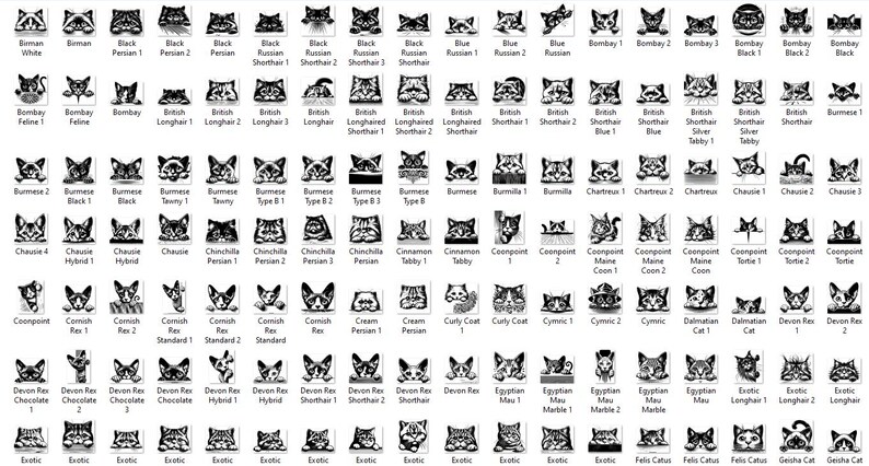 May include: A chart of black and white cat breed illustrations. Each breed is labeled with its name, including Bombay, Burmese, Chinchilla, Cornish Rex, Devon Rex, Egyptian Mau, Exotic, and more.
