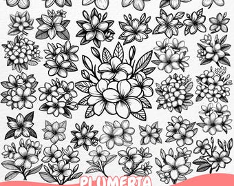 Plumeria Flower Bundle SVG PNG, 100 Tropical Floral Clipart Designs, Hand-drawn Plumeria Flower Vectors, Digital Floral Art for Crafts