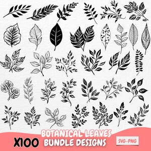 Pacote de clipart de folhas botânicas, SVG de folhas desenhadas à mão, silhueta de folhagem de planta, arquivos de corte com tema de natureza para Cricut, sublimação PNG