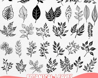 Botanical Leaves Clipart Bundle, Hand Drawn Leaf SVG, Plant Foliage Silhouette, Nature Themed Cut Files for Cricut, PNG Sublimation