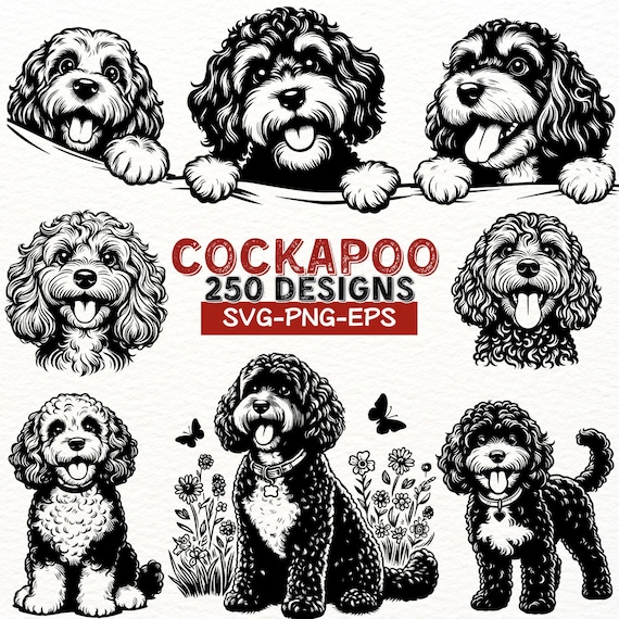 Black Cockapoo Cartoon